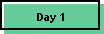 Day 1