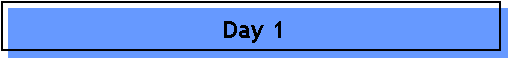 Day 1