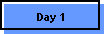 Day 1