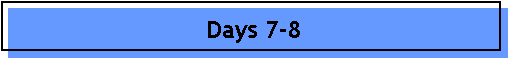 Days 7-8