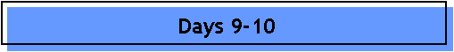 Days 9-10